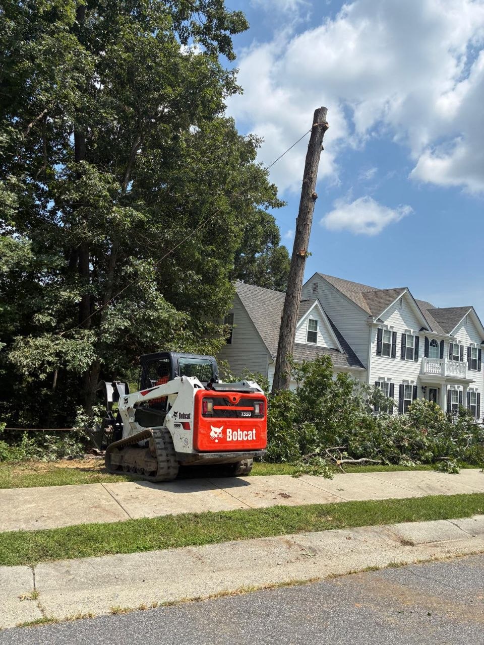 Mayck Tree Services crew removing a tree with a tracked loader at a Richmond home